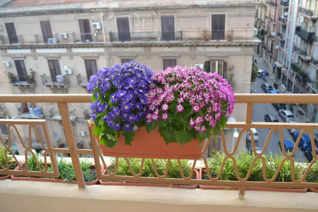 Appartamento Alla Zisa
