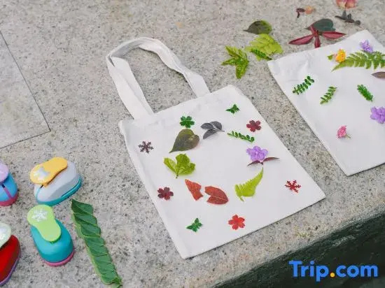 Guangzhou Shijian Xiangjing Qixidi Homestay
