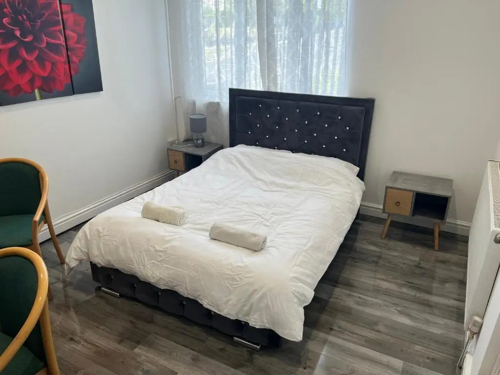 Zams rooms