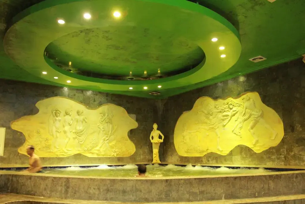 Hotel Furaya