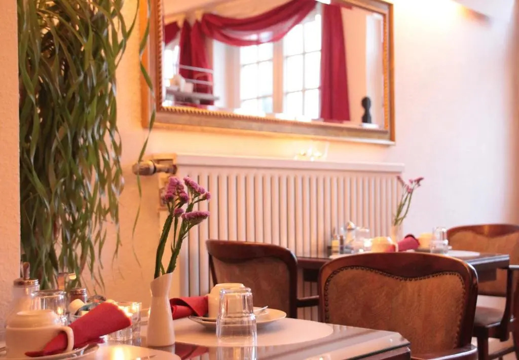Altstadthotel Hayk am Rhein