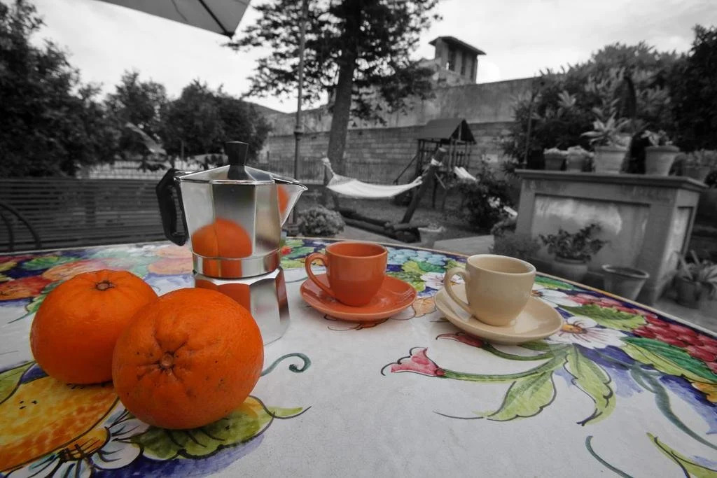 The Garden in the City Center
