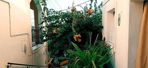Vassilis Apartments