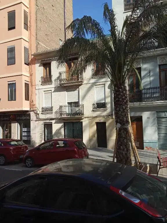 Casa con Palmera - Port