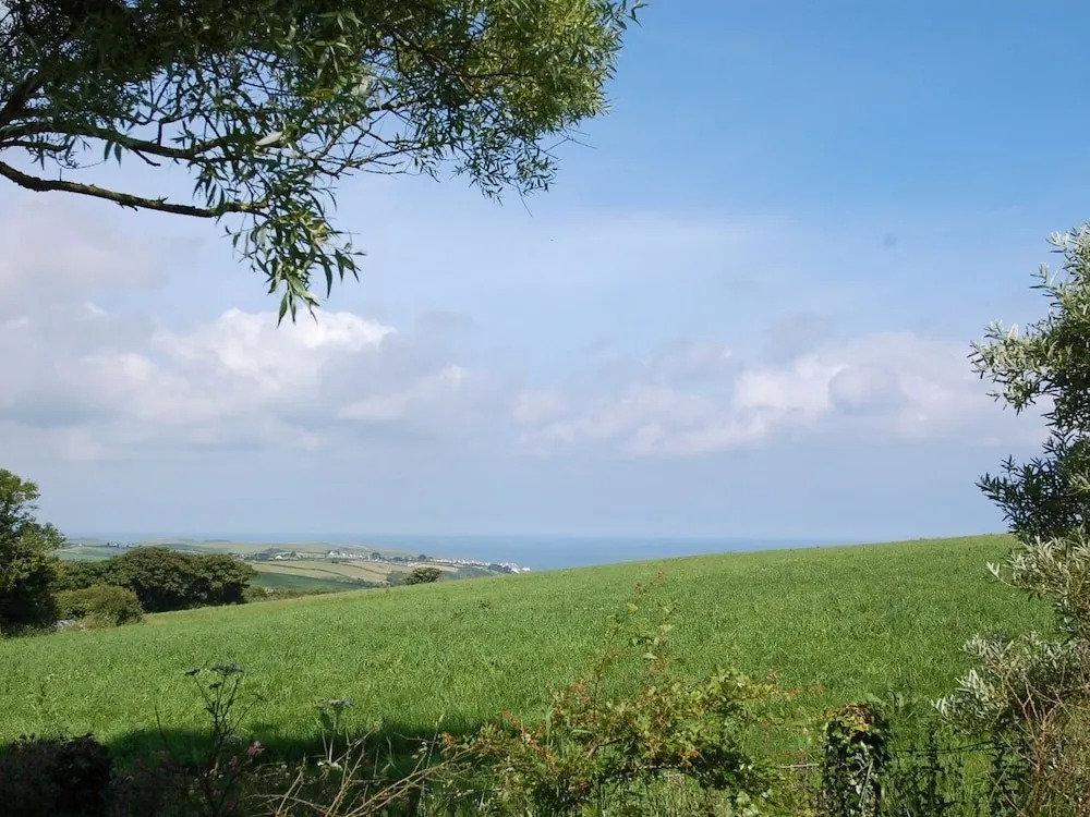 Trevalley