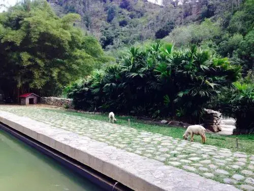 Malu del Rio-Termales