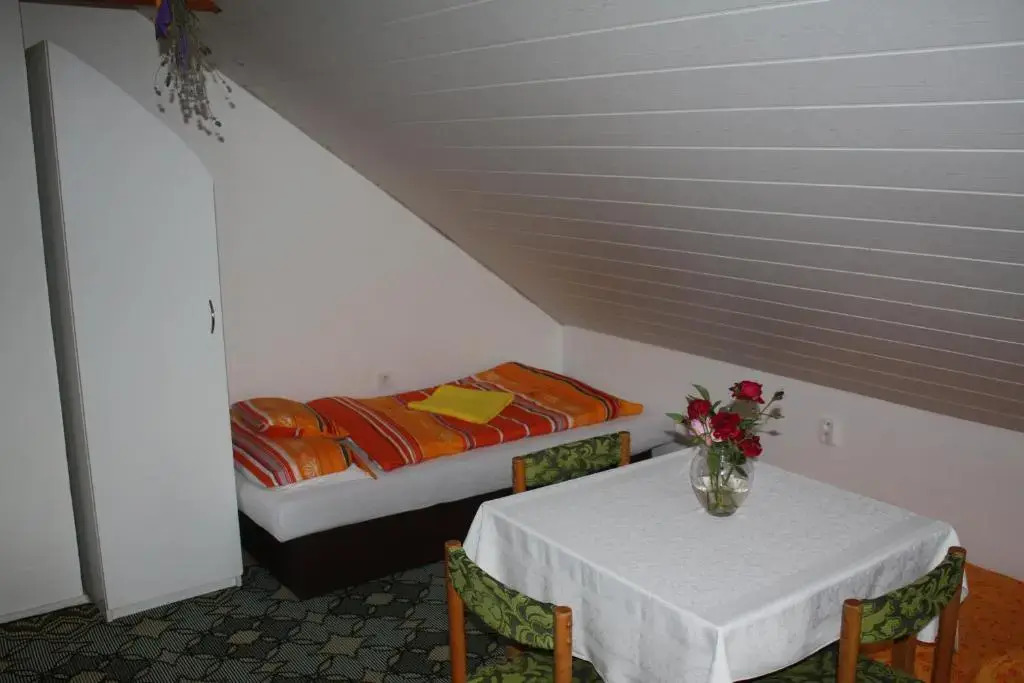 Apartment BENCI