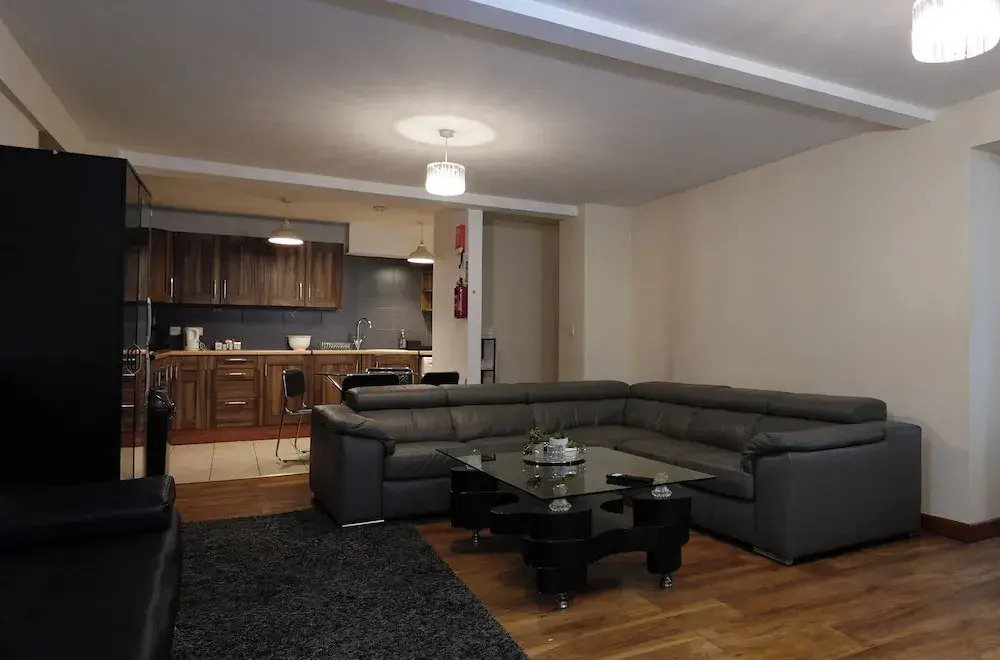 Swanky Apartment