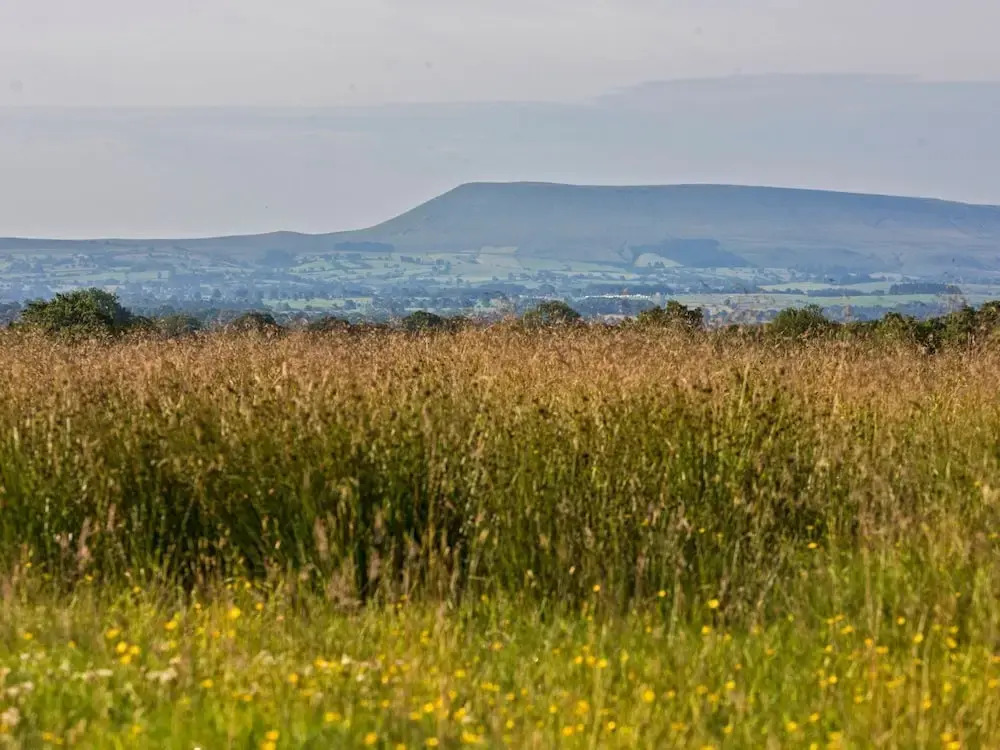 Rathmell