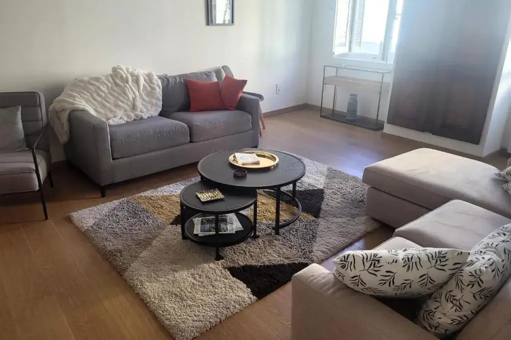 spacious apartment for 4 in avignon !