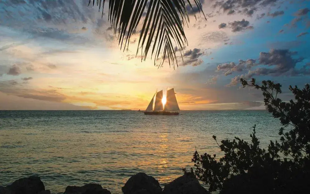 Bahamian Reed by Avantstay Walk to Everything! w/ Community Pool Month Long Stays Only