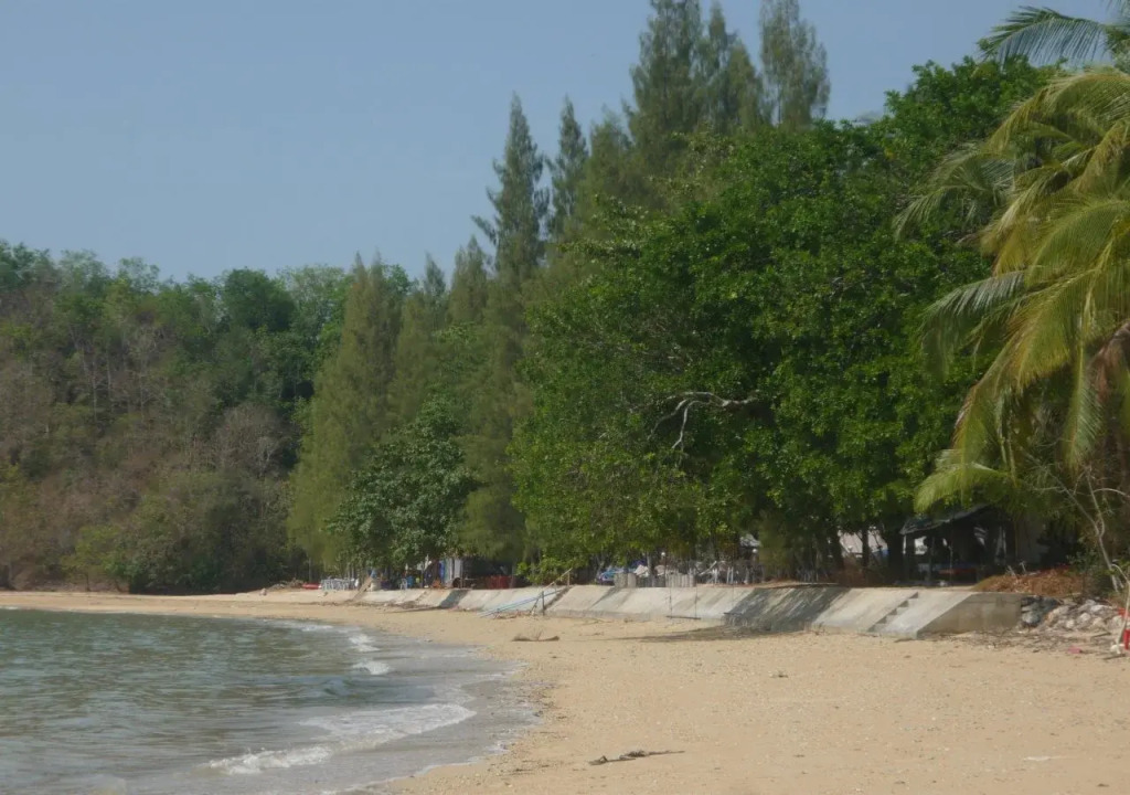 Pasai Beach Lodge
