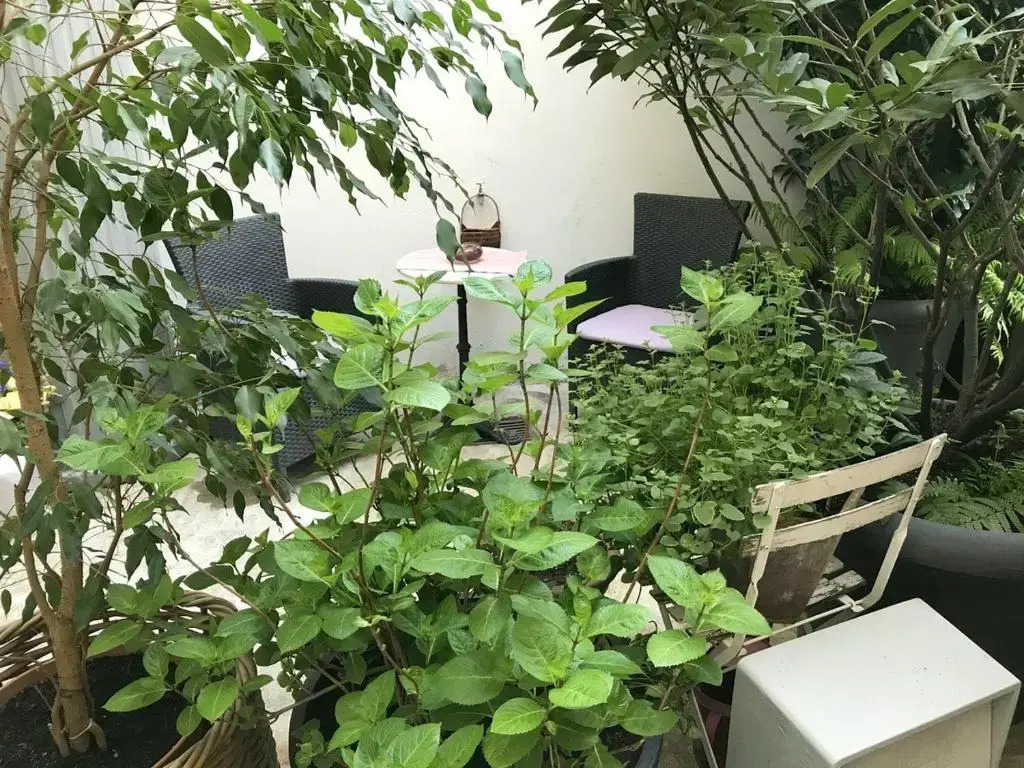 Ferienwohnung City-Apartment Swifts Krefeld