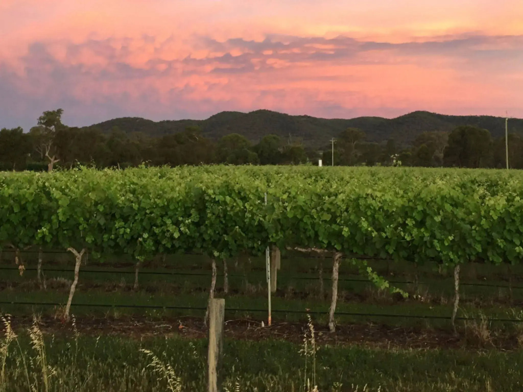 The Farmhouse at Blue Wren Wines