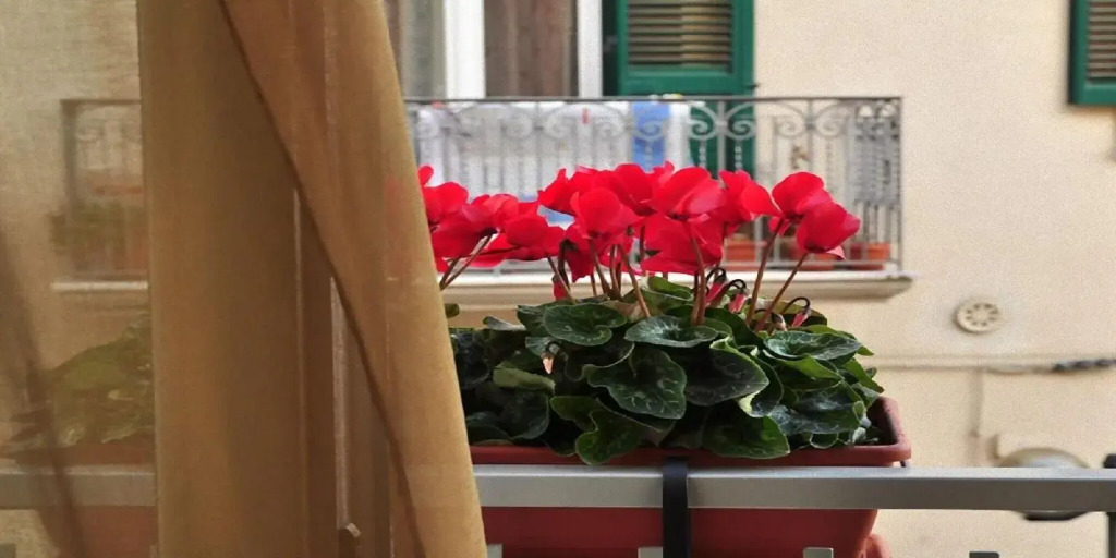 Donna Eleonora Residence