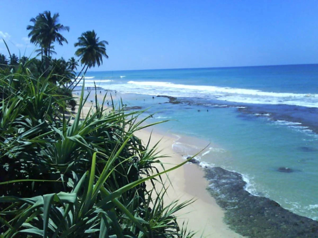 Beauty Coral Hotel