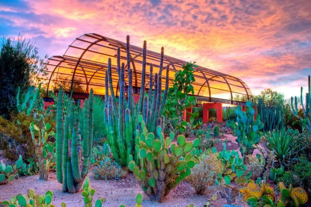 Holiday Inn Express & Suites - Phoenix - Airport North by IHG