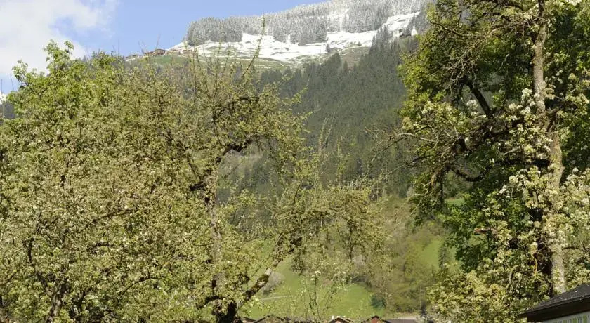 Oberstockachhof