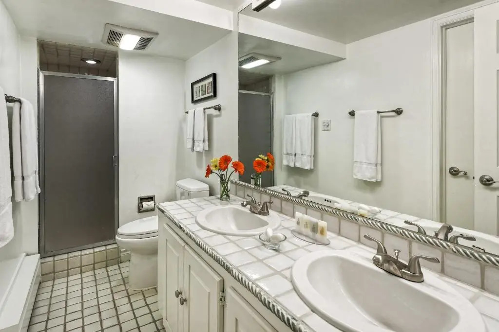 Aspen Alps Apartment #103
