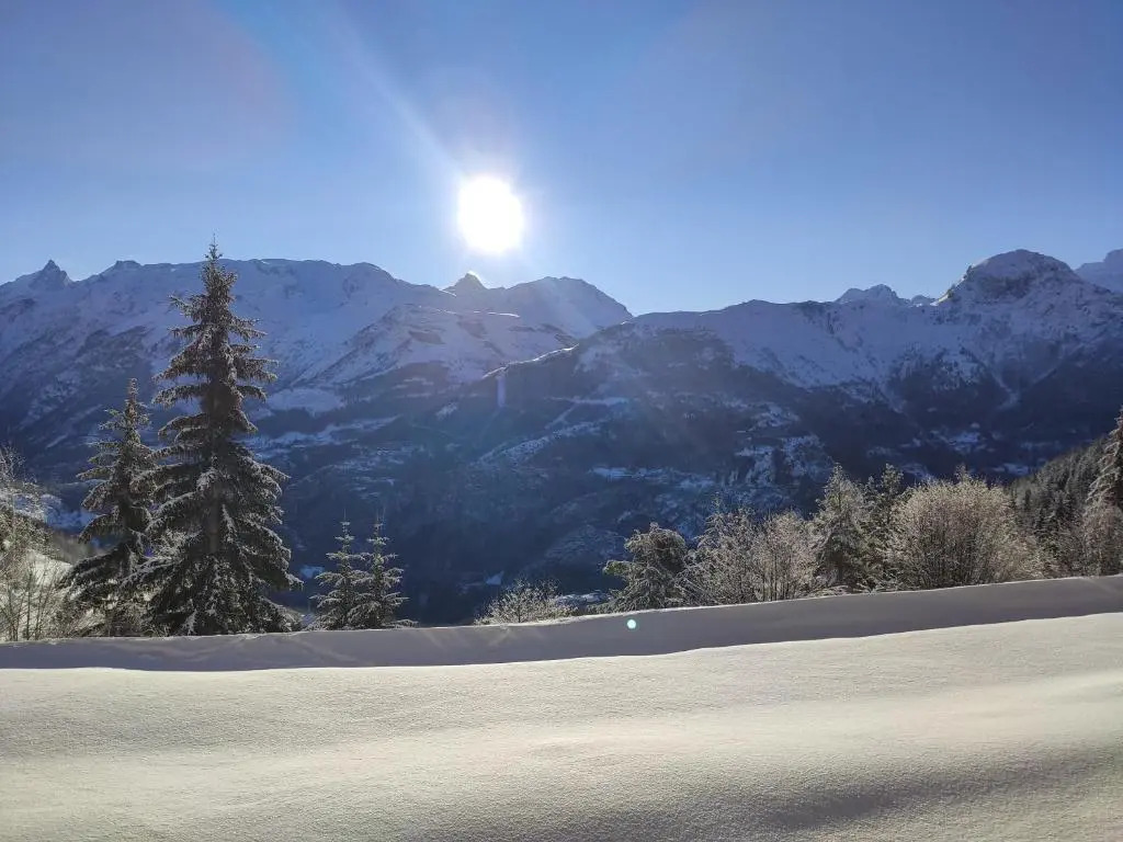 Les Iris T2 station Alpe Huez