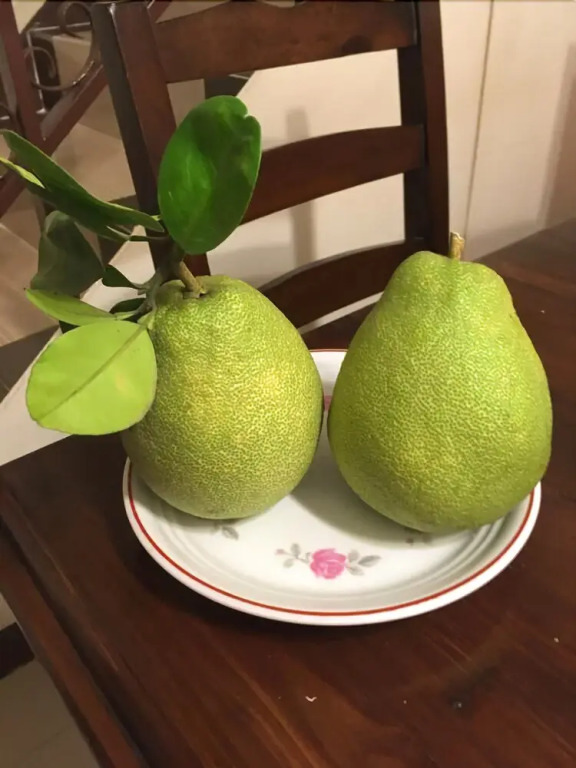 宜蘭樂活小屋