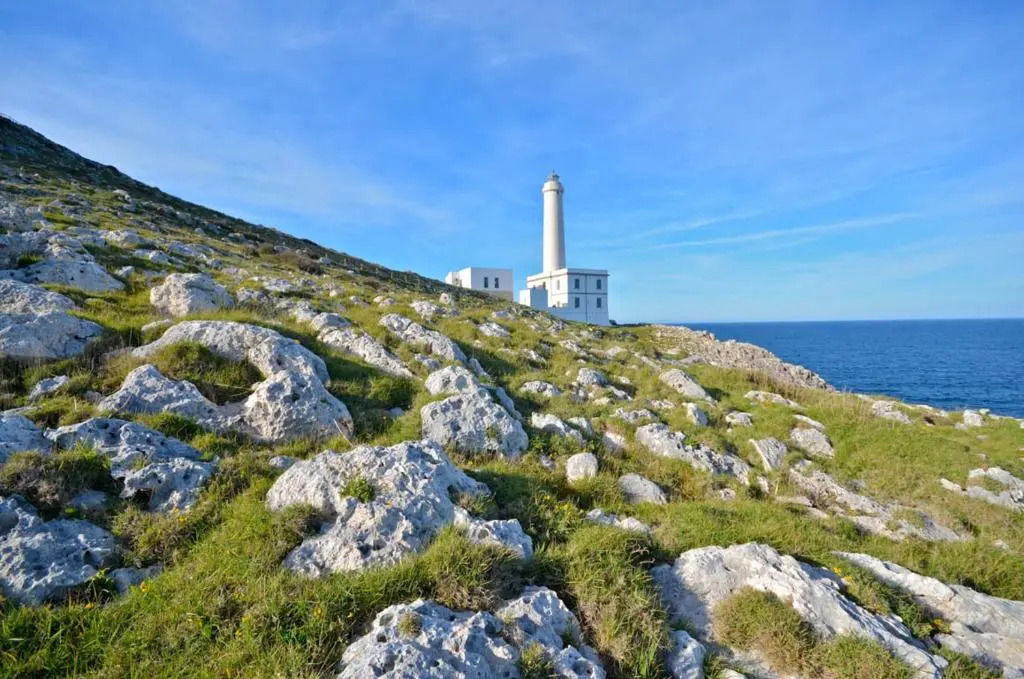 La Ozza BB
