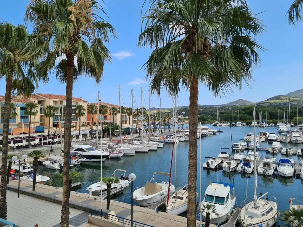 Appartement Argelès-sur-Mer, 2 pièces, 6 personnes - FR-1-388-16