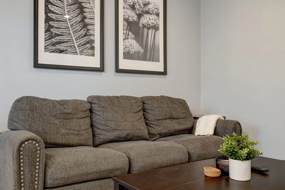 Pet Friendly Condos