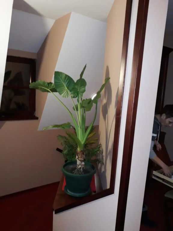 Guesthouse Kod Cileta