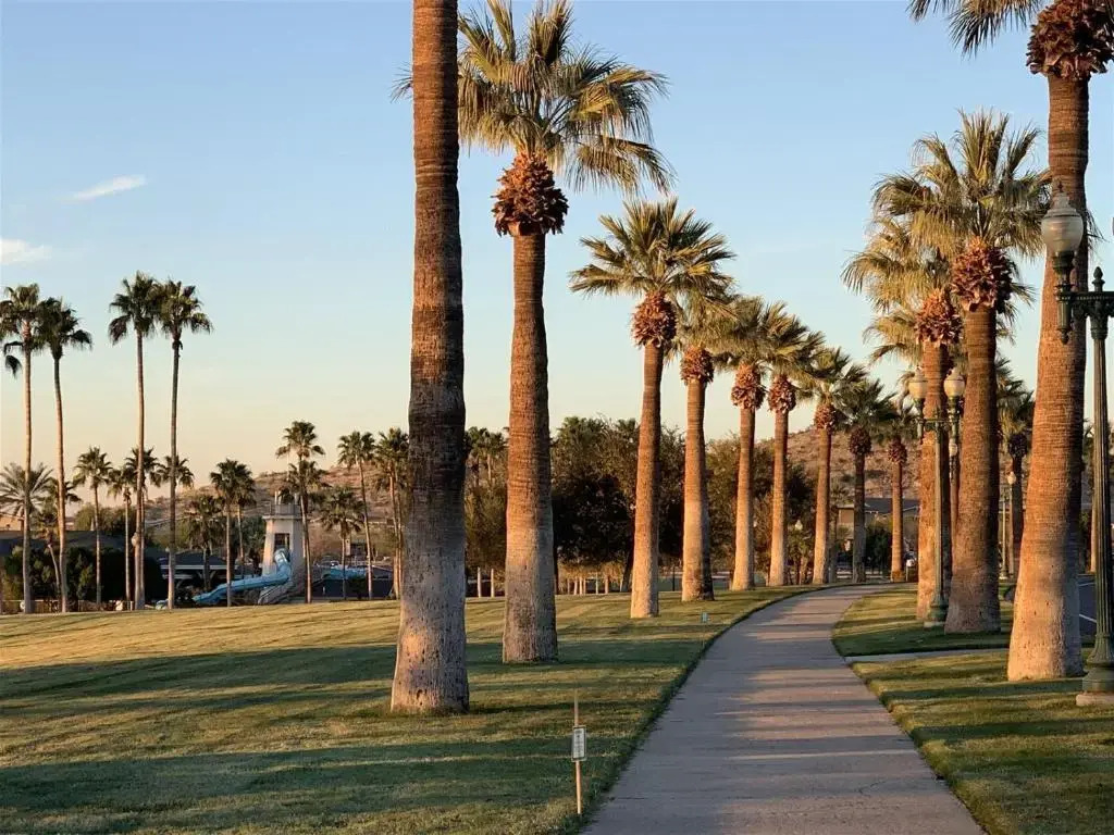 18103 Goodyear