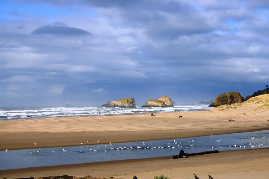 The Waves