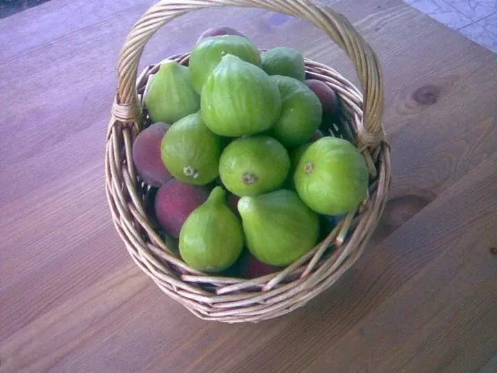 B&B Tra i Frutti
