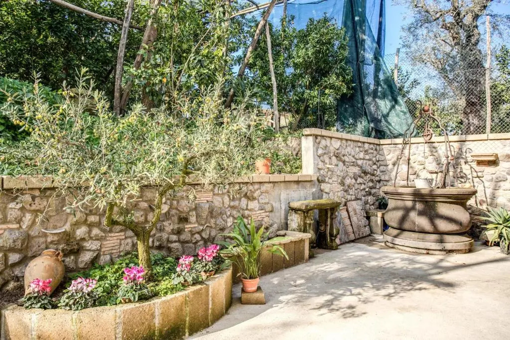 GOLDEN LEMON - modern house in countryside