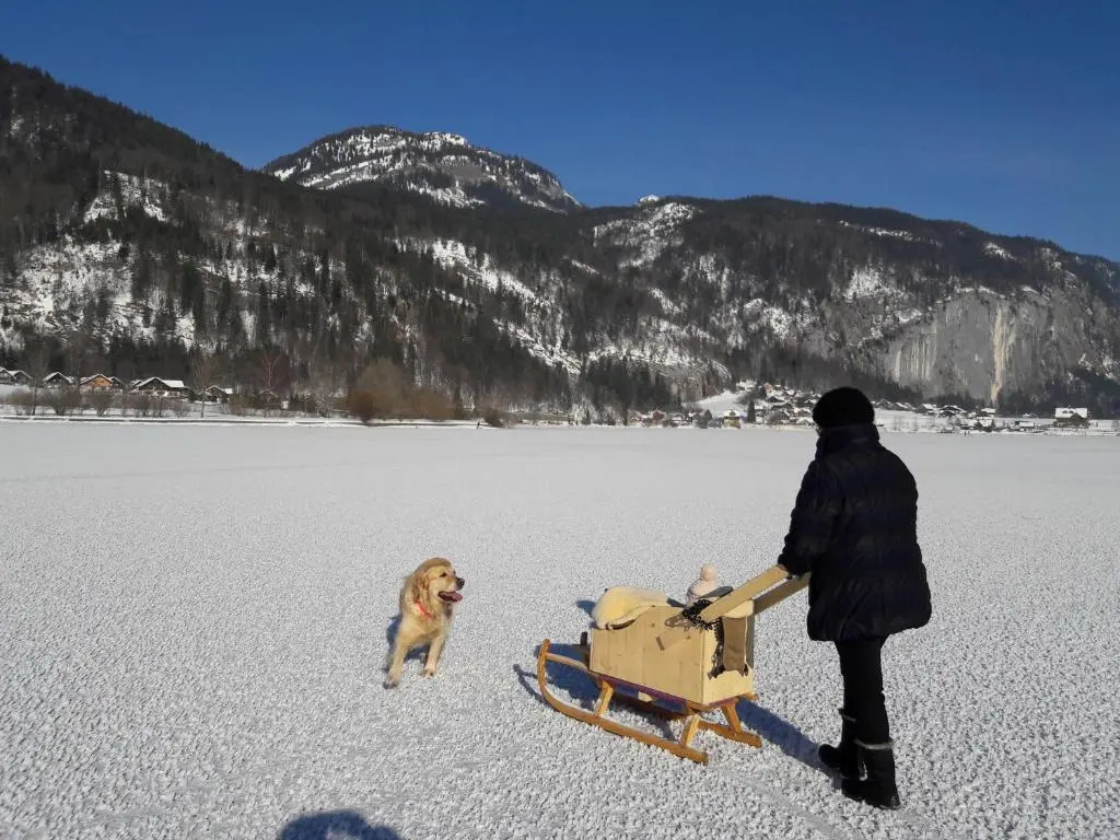 Urlaub Am Bauernhof Galler