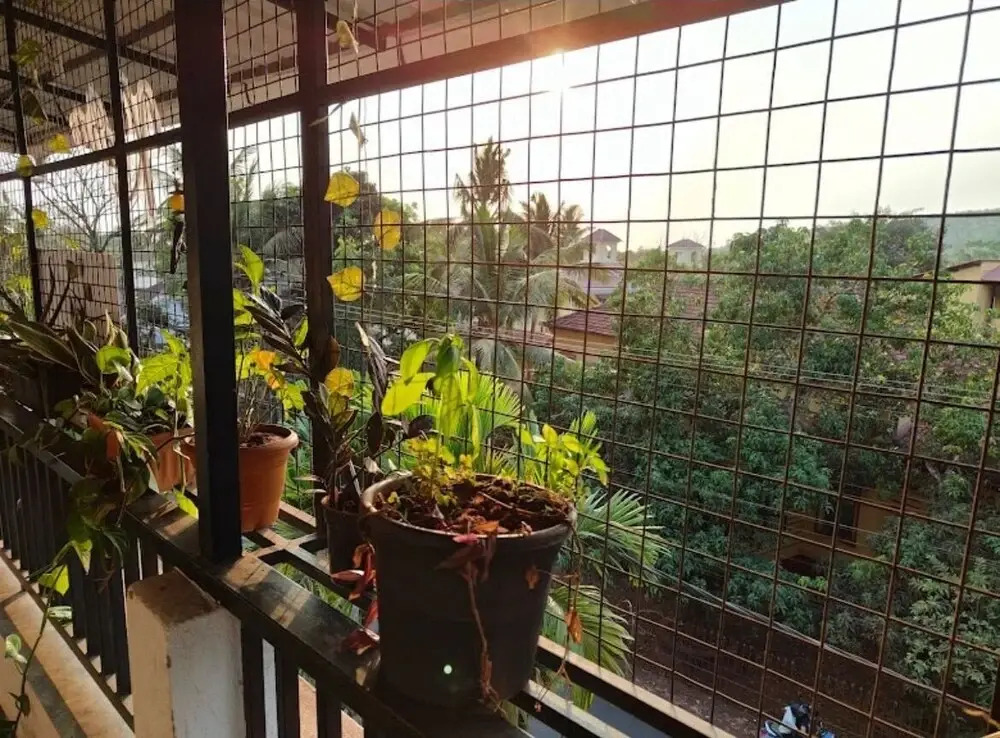 Askava Homestays