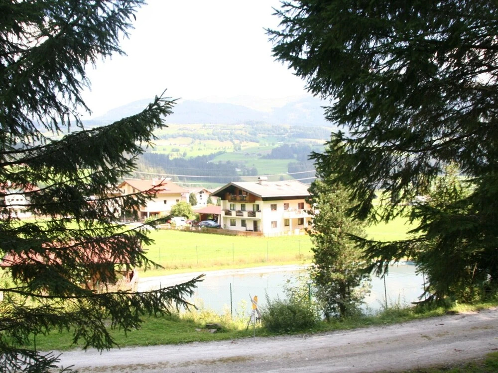 Meadow View Holiday Home in Hollersbach im Pinzgau near Ski Area