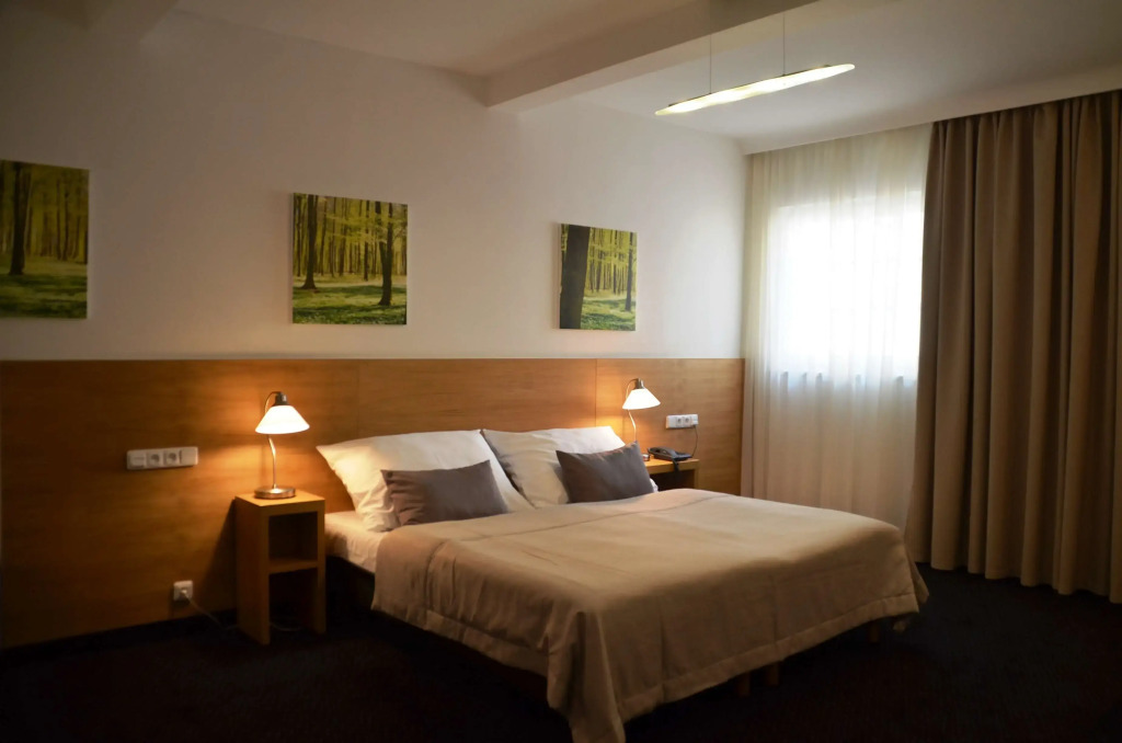 Hotel Clement