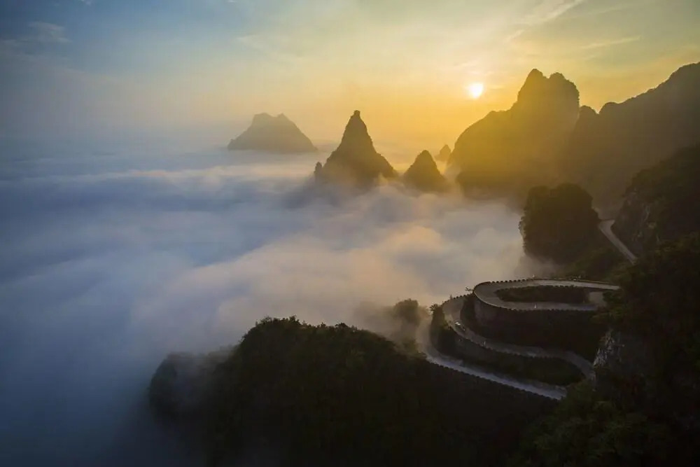 Zhangjiajie Cat Theme Inn