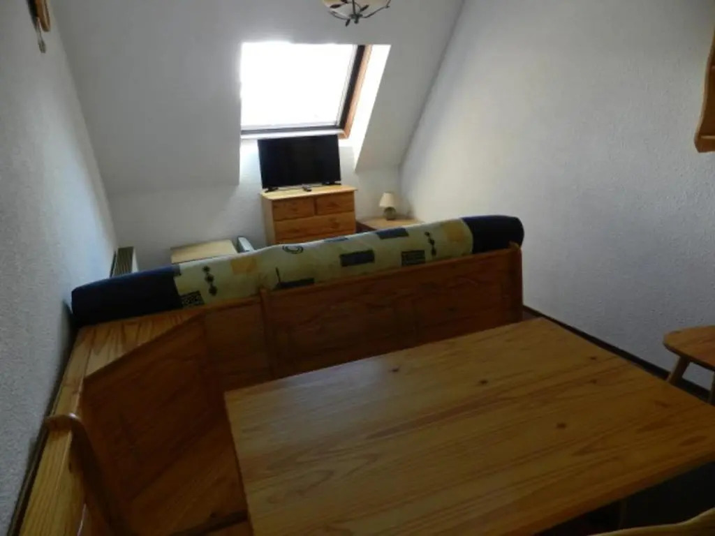 Appartement Le Pleynet, 1 pièce, 4 personnes - FR-1-557A-33