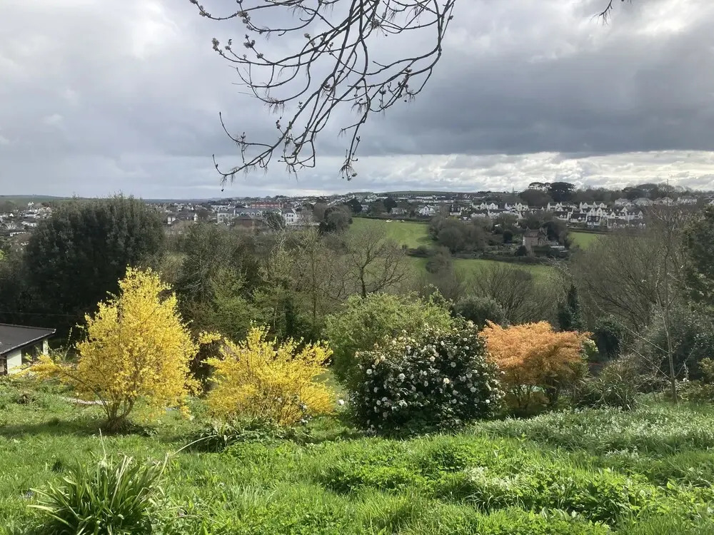 Stunning 4-bed House in Devon 10 Mins From Beach
