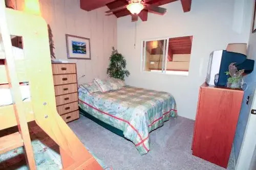 Mammoth Ski Racquet Club 120 - Pet Friendly