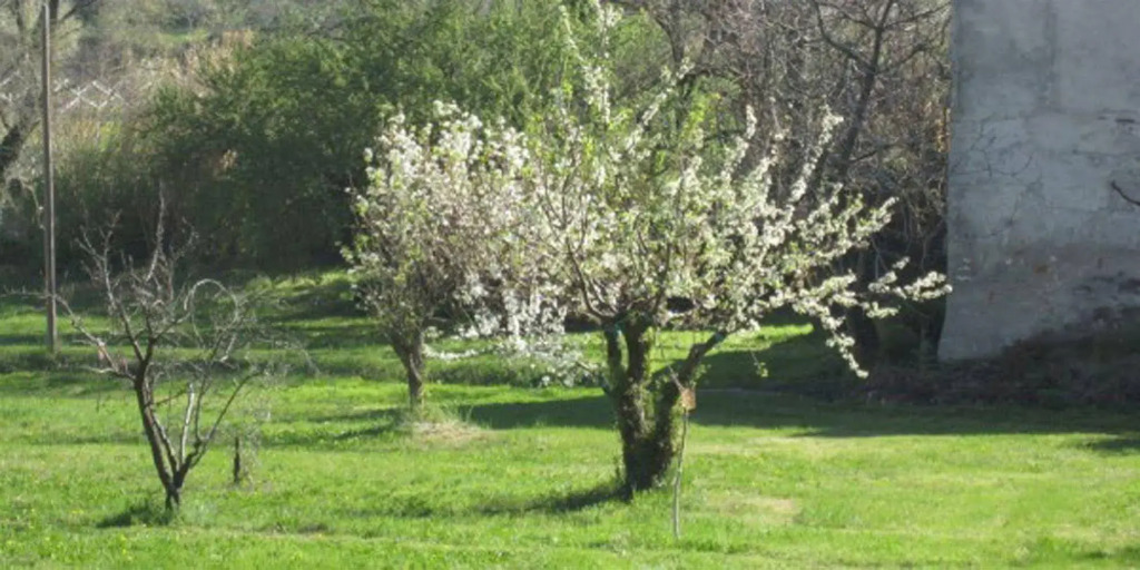 La Camaldola