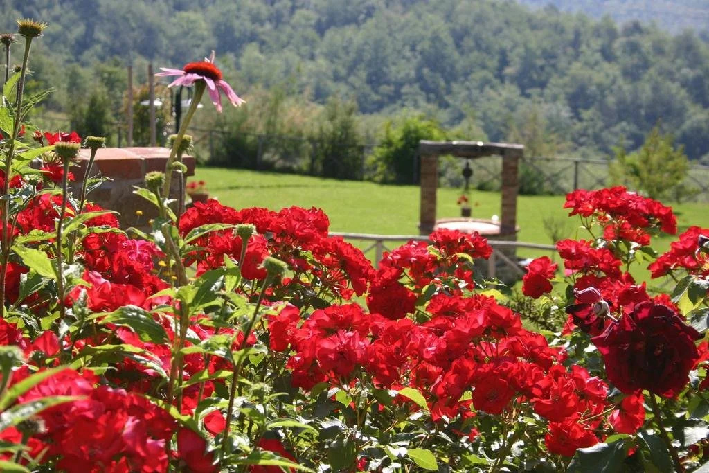 Agriturismo NaTourOasi
