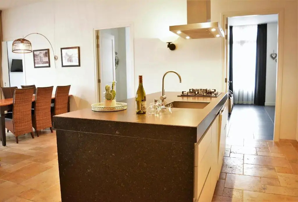 DAC50 Luxurious apartment Domburg