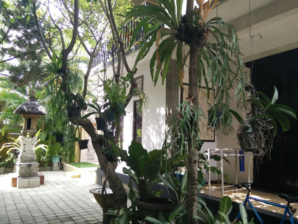 Double N Guesthouse Sanur Bali