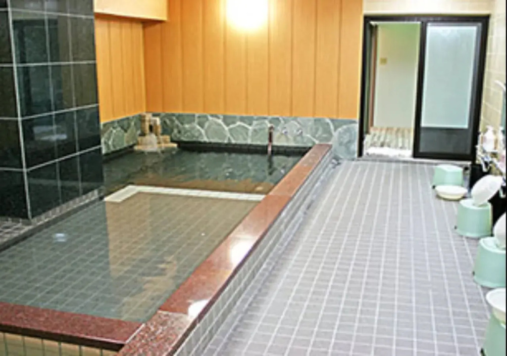 HOTEL CITY INN WAKAYAMA Wakayama-Ekimae