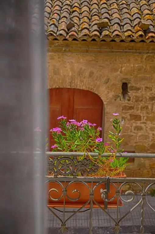 B&B Le Coccinelle