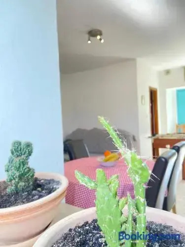 Apartment Marta