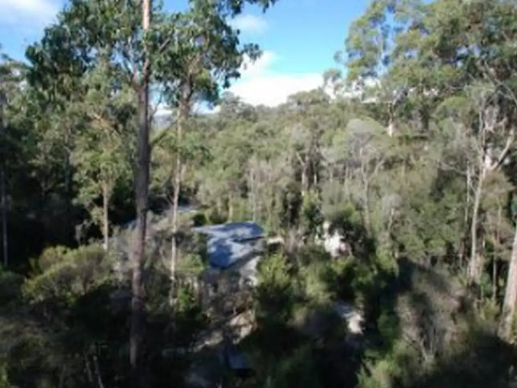 Tahune AirWalk Cabin and Lodge