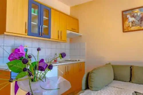 Apartment Piko